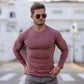 Muscleguys Autumn Fashion Thin Sweaters Men Long Sleeve Pullovers Man O-Neck Solid Slim Fit Sweaters Knitting Tops pull homme - Bekro's ART